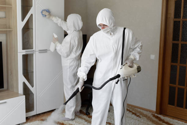 Best Attic Mold Removal  in Tybee Island, GA