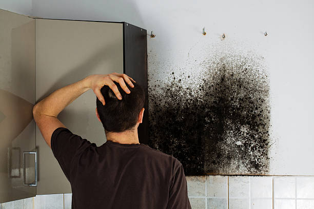 Best Mold Remediation  in Tybee Island, GA